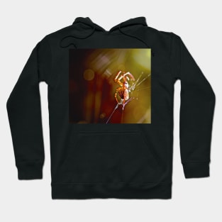 INTO THE LIGHT - SPIDER BITE ! Hoodie